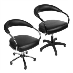 Belleza Modern Padded Swivel Salon Chair